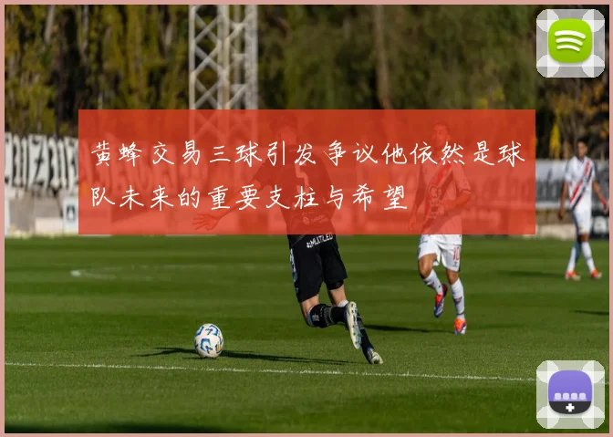 黄蜂交易三球引发争议他依然是球队未来的重要支柱与希望