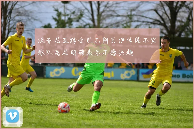 沃齐尼亚转会巴乙阿瓦伊传闻不实球队高层明确表示不感兴趣